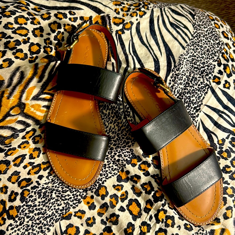 Coach Sandals